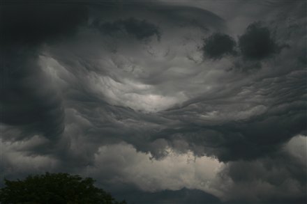 Asperatus Illinois.jpg