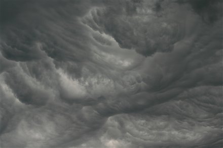 Asperatus Illinois2.jpg