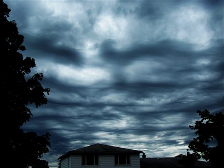Asperatus USA.jpg