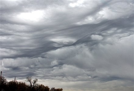 Asperatus USA2.jpg