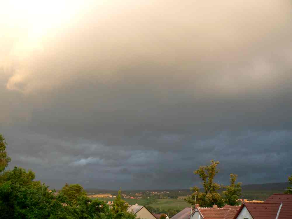 P1100964.JPG