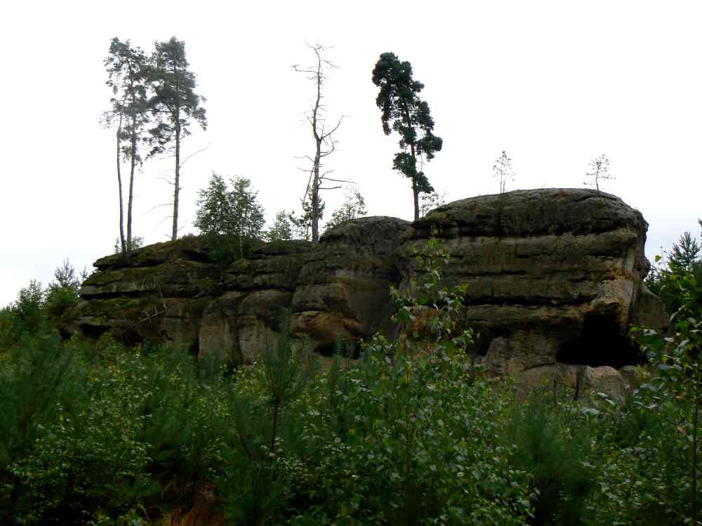 P1110147.JPG