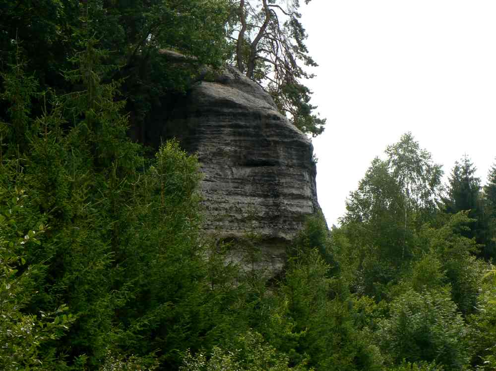 P1110284.JPG